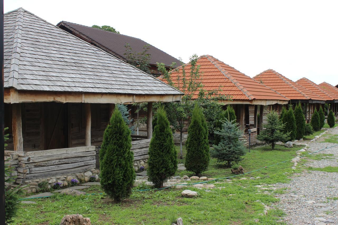 Satul Traditional Runcu  Exterior photo